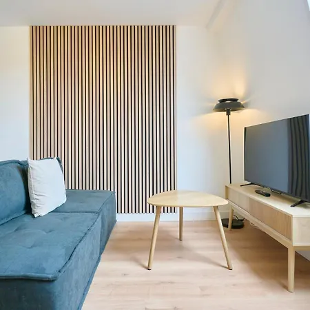 En Duplex Proche Du Parc Barbieux Apartment Croix