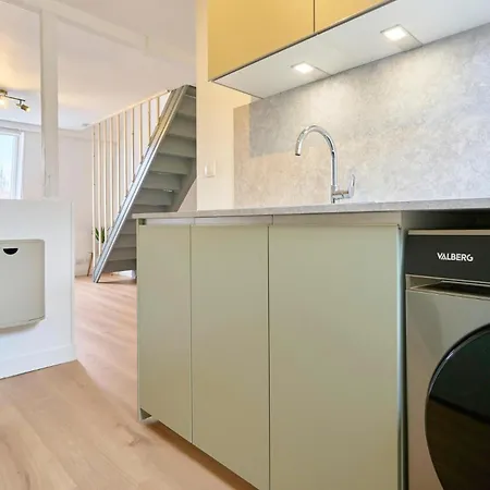 En Duplex Proche Du Parc Barbieux Apartment