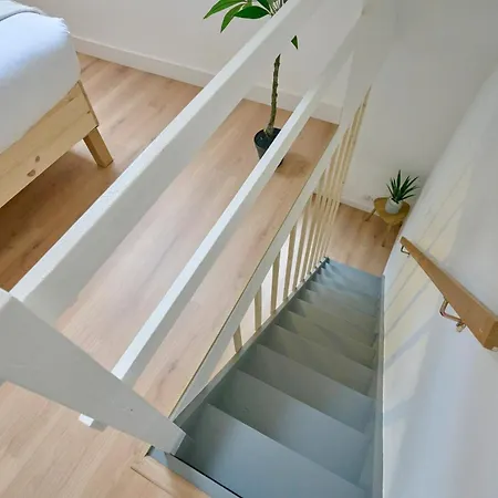 En Duplex Proche Du Parc Barbieux Apartment *